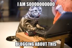 catblog